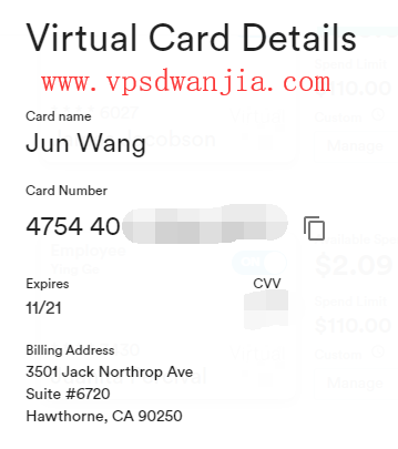 美国Visa虚拟信用卡Bento(475440)简介-VPS大玩家